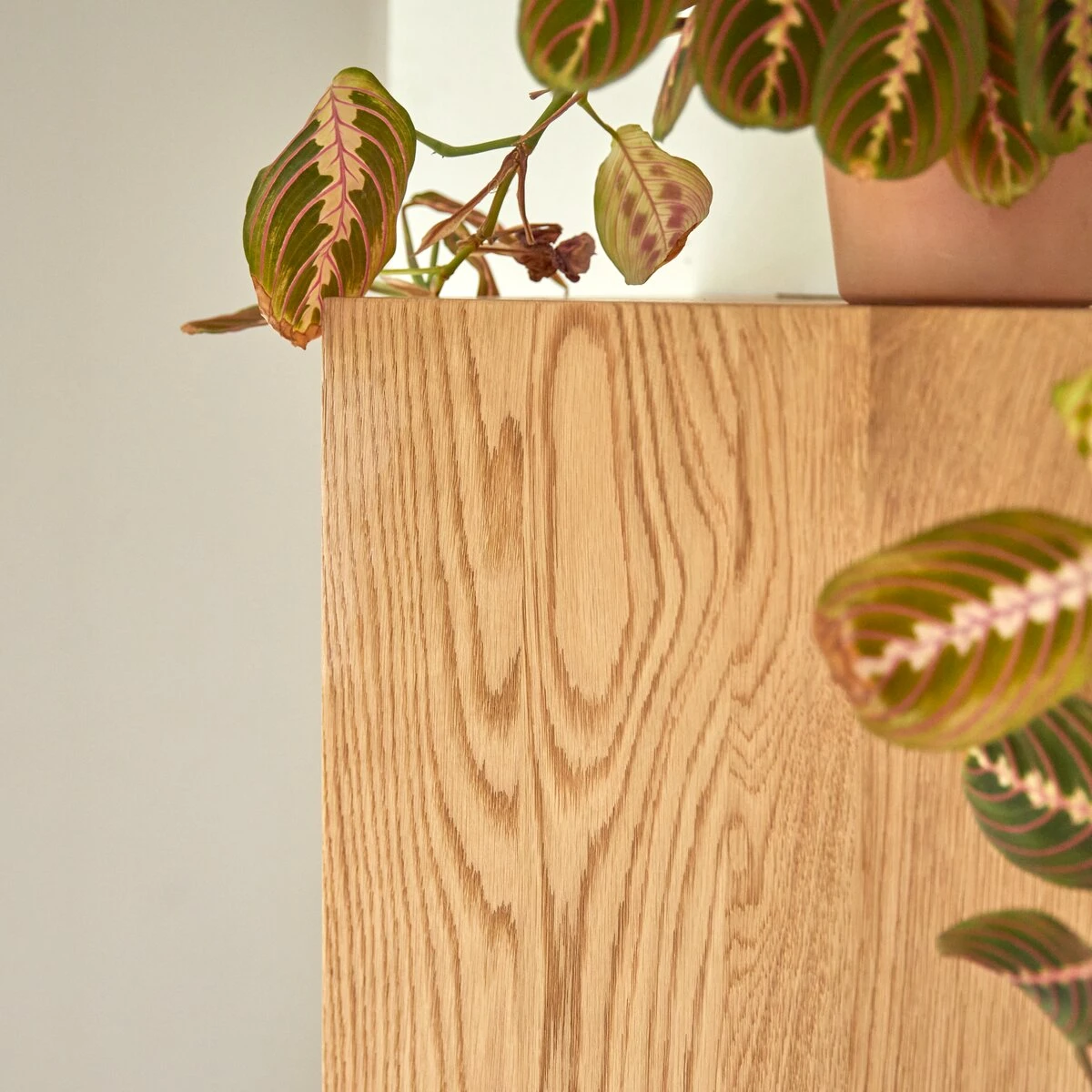 Easy - Colonne En ChĂȘne Massif â Image 3